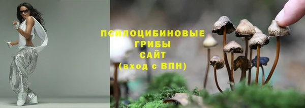mdpv Алзамай