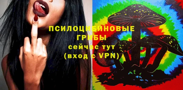 ПСИЛОЦИБИНОВЫЕ ГРИБЫ Алексин