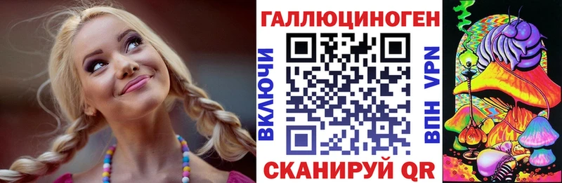 mega ссылка Алзамай Галлюциногенные грибы Psilocybe